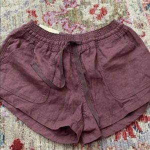 altard state shorts